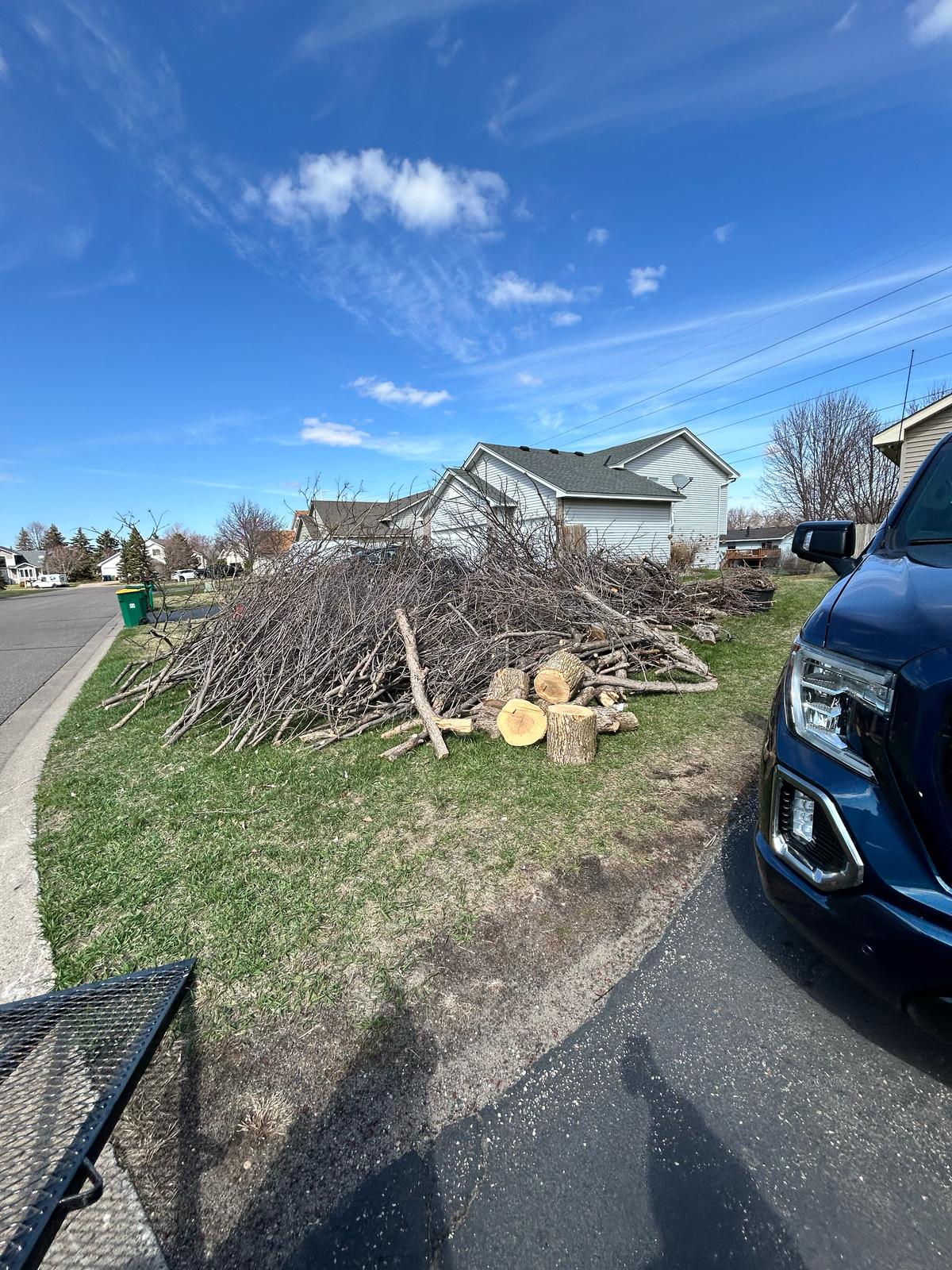Estate and Property Cleanouts